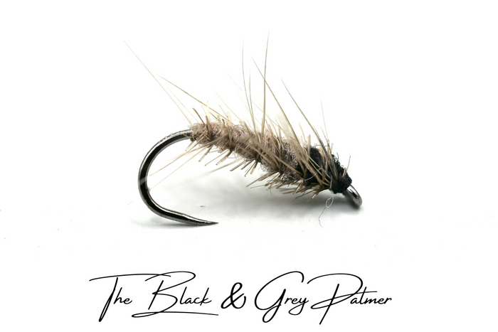 The "It's Just Black" Selection - NEW for 2025