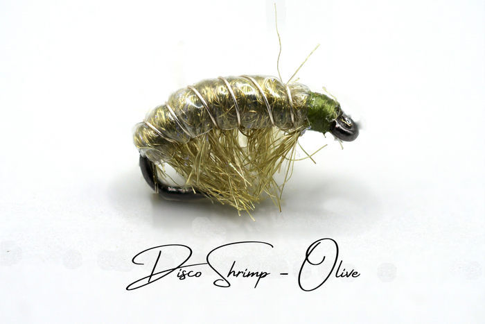 The Lightweight Disco Shrimp Selection