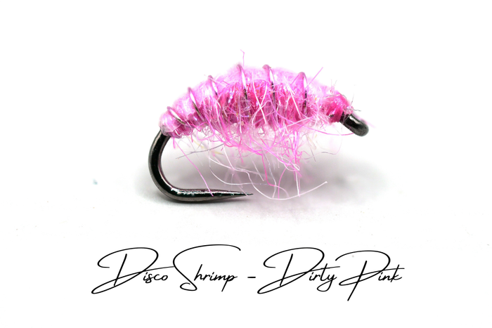 The Lightweight Disco Shrimp Selection