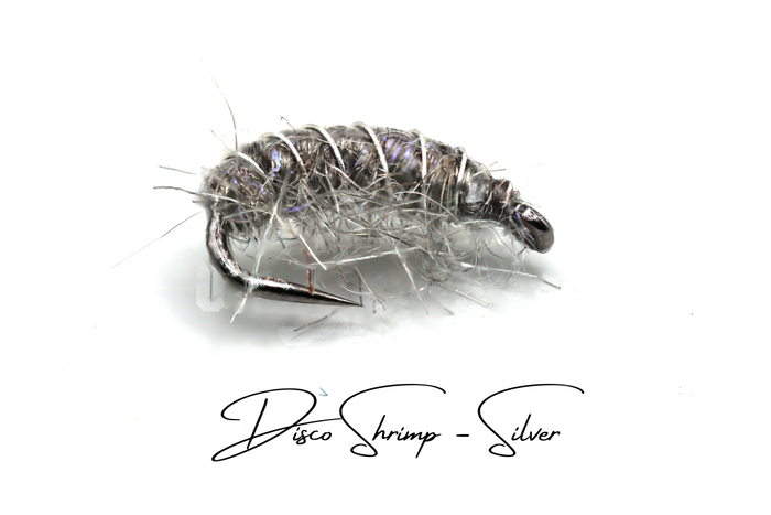 The Lightweight Disco Shrimp Selection