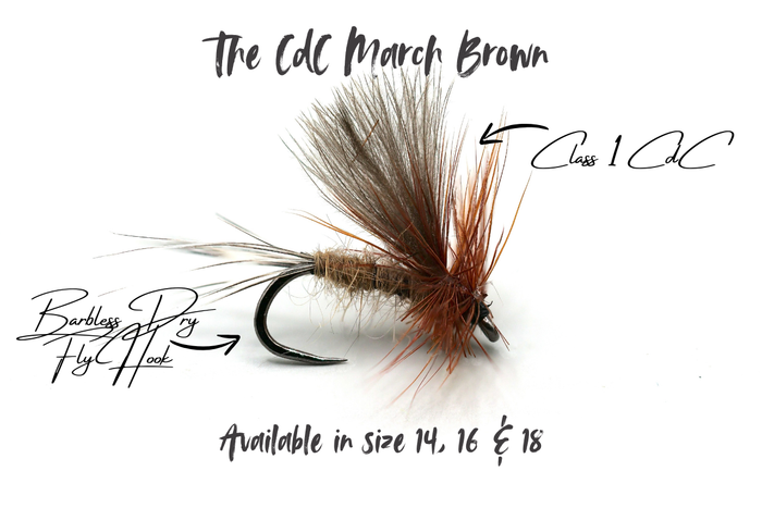 The March Brown Selection