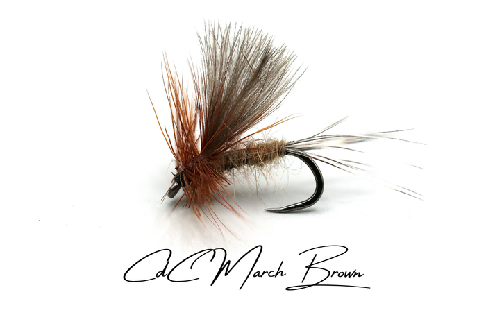 The March Brown Selection