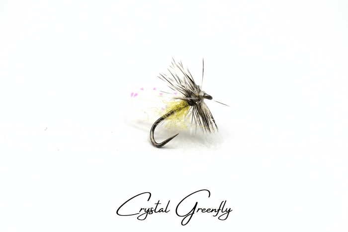 The River Whisperer Selection