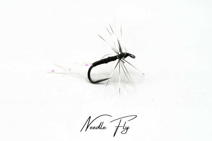 The River Whisperer Selection