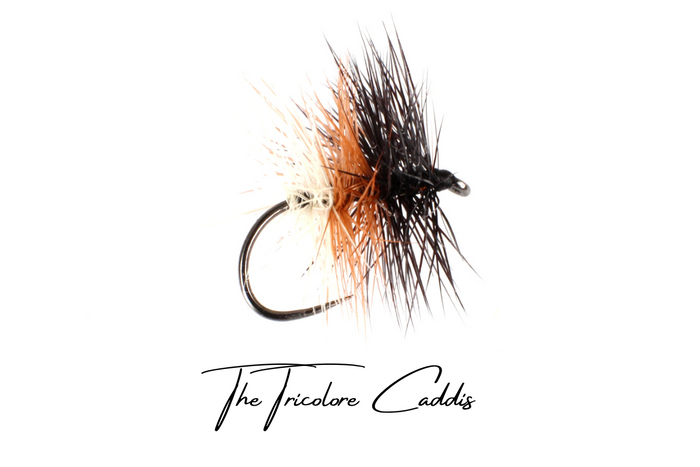 Tri-Colour Caddis (Tricolore) Selection