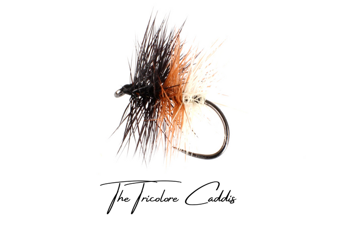 Tri-Colour Caddis (Tricolore) Selection