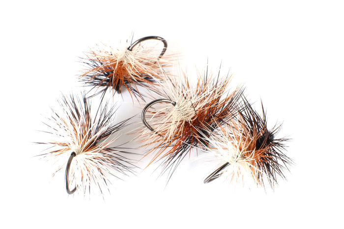 Tri-Colour Caddis (Tricolore) Selection
