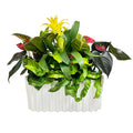 Tropicals in White Wavy Vase Arrangement