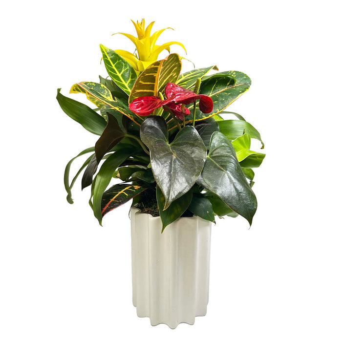 Tropicals in White Wavy Vase Arrangement
