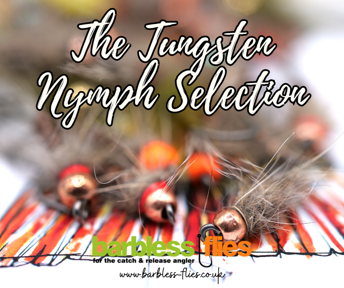Tungsten Nymph Selection