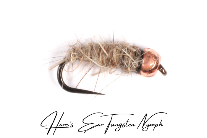 Tungsten Nymph Selection
