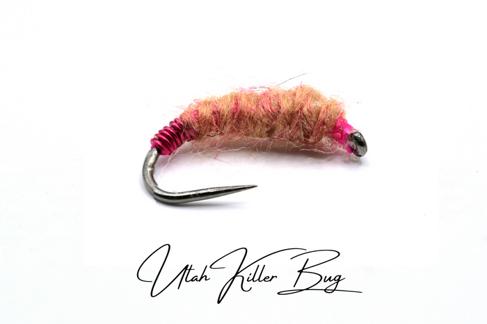 Utah Killer Bug Selection