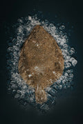 Greendale Whole Brill On The Bone