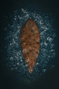 Greendale Whole Dover Sole