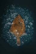Greendale Plaice Gutted Headed And Trimmed