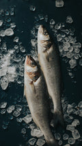 Greendale Whole Wild Sea Bass