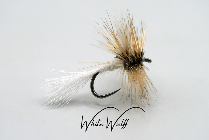Wulff Selection