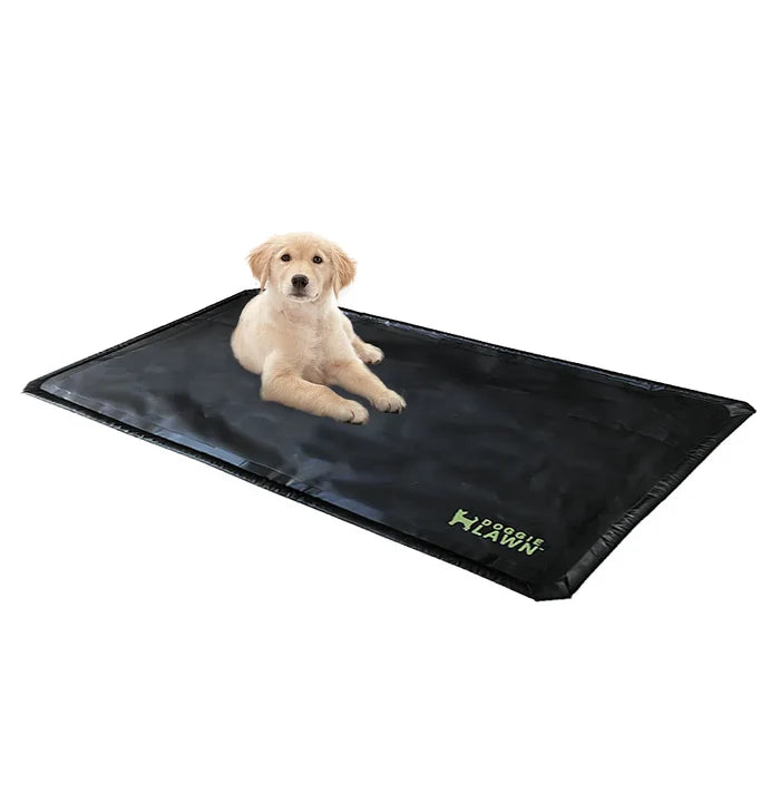 Golden retriever puppy sitting on a black DoggieLawn flex tray mat against a white background.