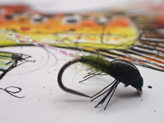 Zig Nymph Selection