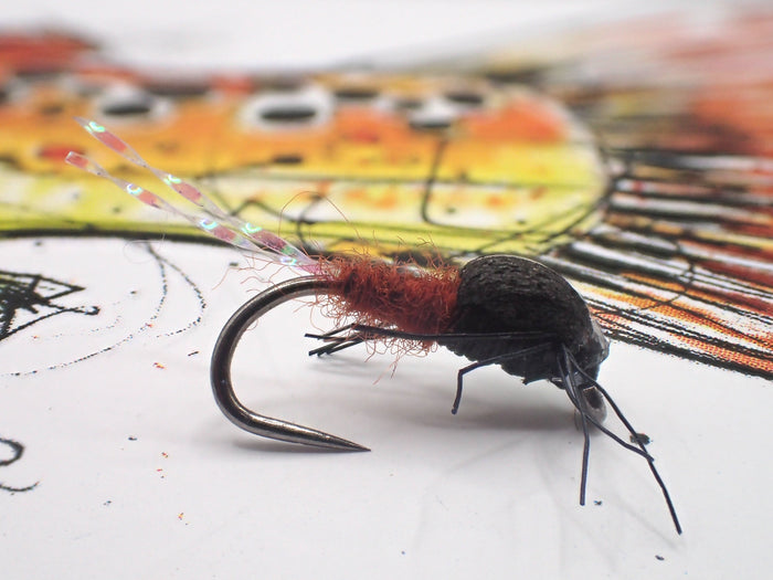 Zig Nymph Selection