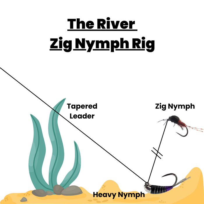 Zig Nymph Selection